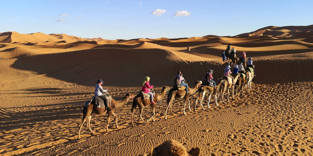 a group of people riding camels in an open desert