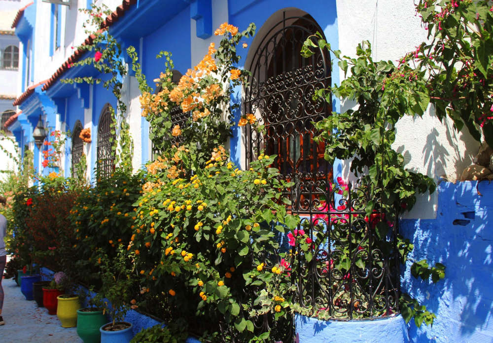 a blue washed house with a small garden in the front yard