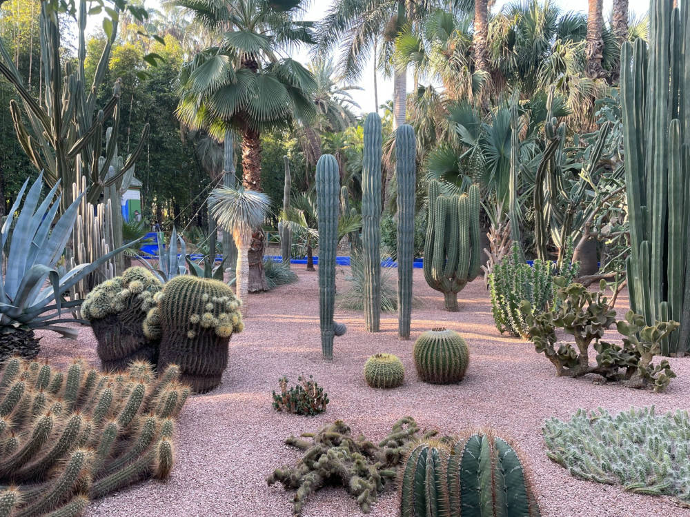 different plant species within a large garden